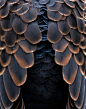 Oriental Turtle Dove | ©Y. Naraki: 
