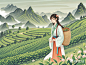 高山茶园风景，少女背着背篓采茶，改良汉服，新工笔，工笔插画，茶叶礼盒包装，百瑞香，武夷岩茶元素，高山 (2)