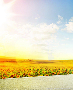 Sunny_girls采集到天空#背景