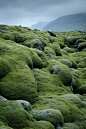 Lava fields covered with moss in Vestur-Skaftafellssysla, Iceland