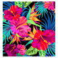 Latest Tropical Patterns : collection of tropical patterns. 