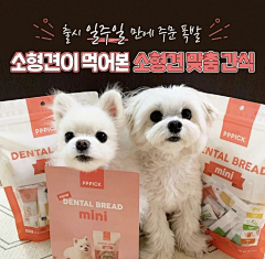 冰淇淋with采集到宠物