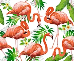 火烈鸟 【酷图网】鼠,香菇,红松鼠,卡通松鼠,手绘松鼠,松鼠插画,卡通手绘松鼠,卡通松鼠插画,卡通矢量松鼠,卡通可爱松鼠,手绘卡爱松鼠,手绘松鼠插画,手绘矢量松鼠,卡通动物,可爱动物,卡通背景,童话世界,动物王国,儿童绘本,野生动物,动物,手绘动物,手绘卡通,草原背景,儿童绘画,卡通森林动物,卡通动物形象