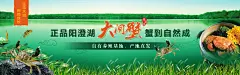 绿色阳澄湖大闸蟹食物美食banner设计
