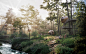 architecture 3dsmax archviz visualization corona Tree  wood spirit one2 Nature