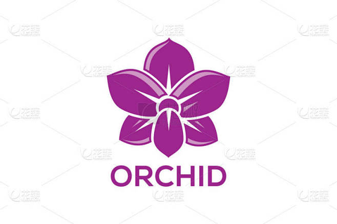 兰花矢量花隔离在白色背景，兰花标志载体，兰花标志设计，兰花花，兰花矢量标志