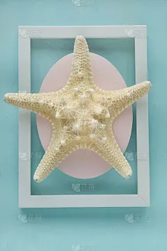 米色海星淡蓝色背景在白色框架。海夏天的概念。暑假的象征。夏日手机照片墙纸。海上装饰。俯视图，复制空间