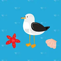 一组海鸥、海星和贝壳。海洋插图。股票矢量图像。
