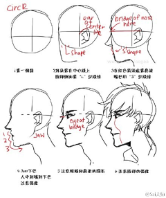 白熊ي采集到数位板 眼睛 发型 五官