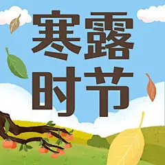 寒露节气柿子习俗手绘公众号次图