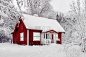 小红房子在冬天的雪森林里。