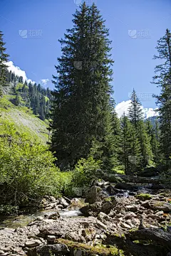 夏季高山景观，瑞士阿尔卑斯山脉，瑞士