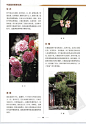 中国园林图解词典_63