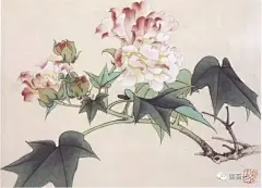 名家经典：《百花工笔画集》百幅