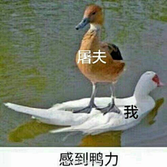 ww是凉凉采集到表情包