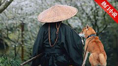 我的天ya采集到男频投放
