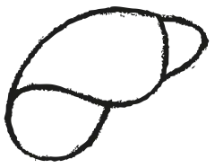 OBJECT_LINE_23