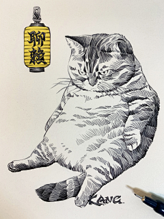野有呀采集到虎