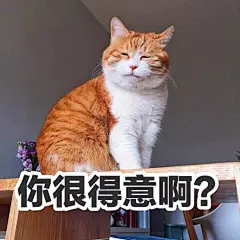 又云养猫了，小丧猫表情包（多图）