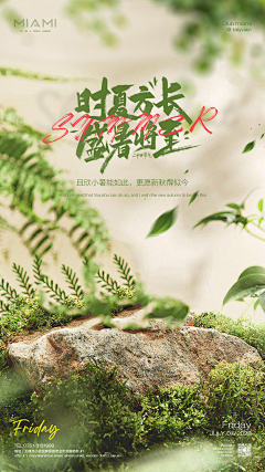 zxyjbjd采集到万张飞机稿