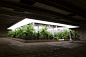 doug aitken asks visitors to destroy domestic objects inside a tropical garden : set within a dark, industrial warehouse, 'the garden' is a living artwork by doug aitken that asks visitors to become the subject of the sculpture.