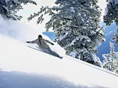 户外运动系列壁纸之滑雪与冲浪桌面壁纸1
