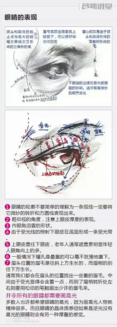 青丝辞我花辞树采集到素描教程