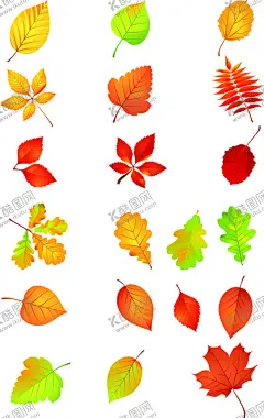 树叶矢量图 【酷图网】树叶,绿叶,红叶,矢量图,插图,元素,点缀,花边