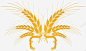 农作物小麦图标 麦子 麦穗 麦穗图标 UI图标 设计图片 免费下载 页面网页 平面电商 创意素材