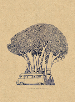 灰灰---采集到画