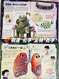 被百科书喂大的孩子，起点高出一大截！ - 小红书