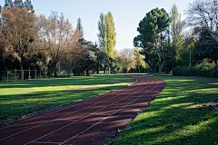 文化公园绿道高清摄影图