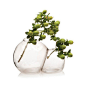 Bubble Twin Vase