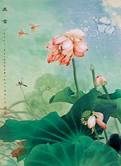 花樣采集到工笔