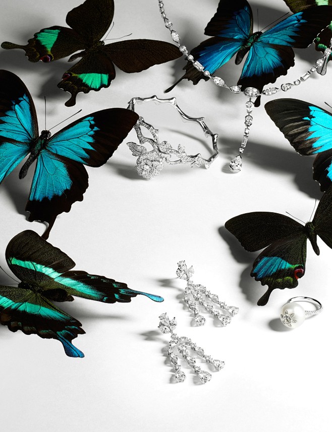 Philippe LACOMBE - P...