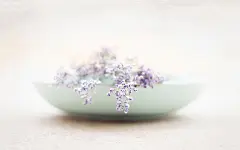 午后温暖阳光美图高清壁纸
