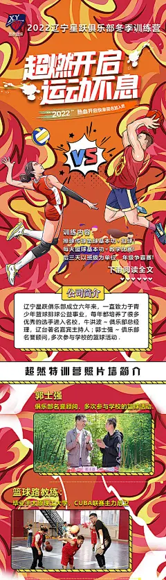 篮球排球训练营招生长图海报