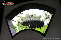p_q668采集到窗