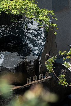 哥赏你点心情采集到背景and杂七杂八素材