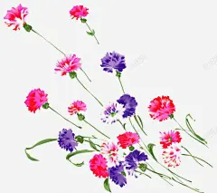 卡通手绘彩色花朵高清素材 卡通手绘花朵 康乃馨 彩色花朵 手绘康乃馨 手绘花朵 免抠png 设计图片 免费下载