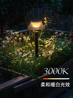 羊燺羽采集到晚上地插灯素材