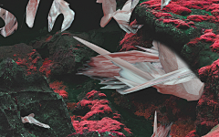 杨曦翰采集到seriesC4D