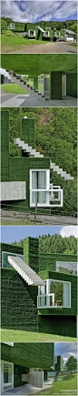 筑龙网建筑师圈：草覆盖的房子,奥地利。房子的楼梯也是亮点