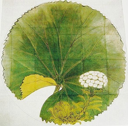 一花，一草，一木，一世界。丨来自画家柴田...