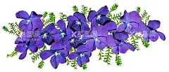 高清横幅花朵  - 源文件下载【酷图网】花,鲜花,蓝色,花瓣,植物,花苞,含苞待放,精美,花卉,花朵,叶子花蕊,花蕾,开花,美丽,鲜艳,横幅,鲜花背景,插画,免抠素材,手绘花朵,漂亮花朵,床头装饰画,壁画,挂画,装饰画