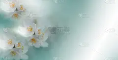 周年纪念,贺卡,结婚请柬,自然美,春天,白色,自然,花纹,明信片