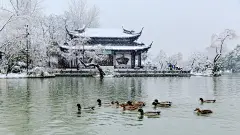 扬州瘦西湖雪景摄影高清宽屏桌面壁纸