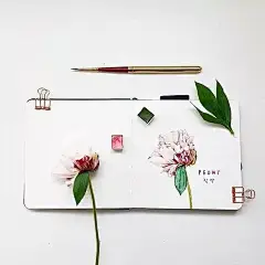 韩国治愈系水彩，治愈你的心！ : Yirang Kim来自韩国画家的水彩系列作品/她的画风非常小清新、文艺、治愈系感觉少女心爆棚非常的温暖、阳光、向上///她画水彩花卉的小视频▼/她平时画的一些小植物手绘和一些小家居、食物从她画面的风...