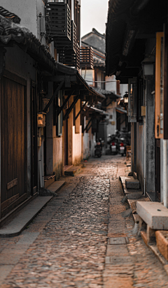 泠馨采集到素