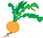 fresh turnip vegetables logo designs icons
